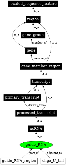 Graph image for SO:0000602
