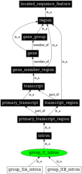 Graph image for SO:0000603