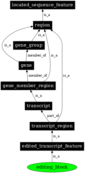 Graph image for SO:0000604