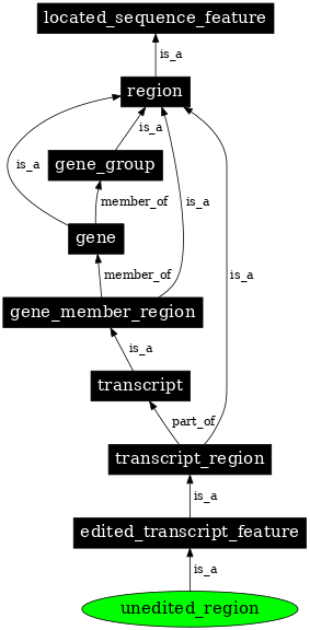 Graph image for SO:0000607