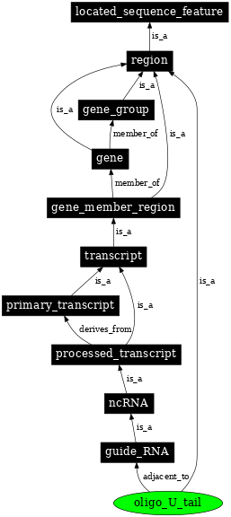 Graph image for SO:0000609