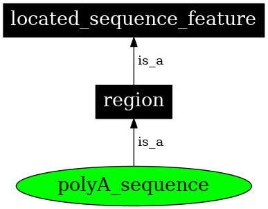 Graph image for SO:0000610