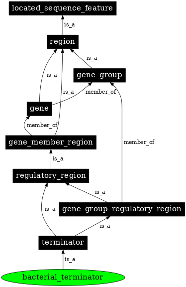 Graph image for SO:0000614