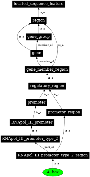 Graph image for SO:0000619