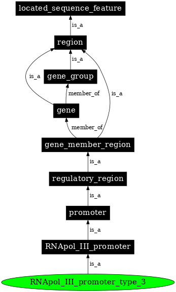 Graph image for SO:0000621