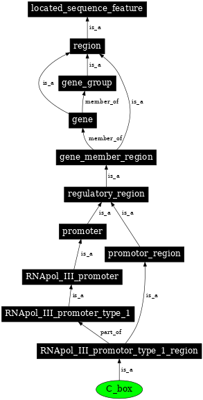 Graph image for SO:0000622