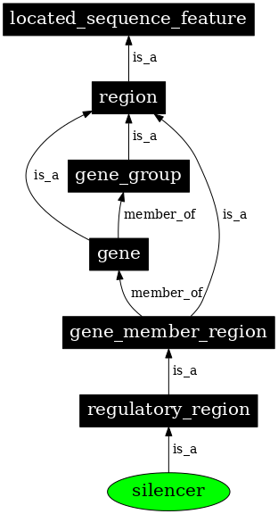 Graph image for SO:0000625