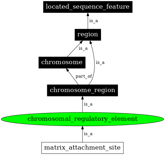 Graph image for SO:0000626
