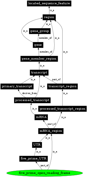 Graph image for SO:0000629