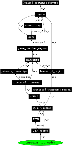 Graph image for SO:0000630