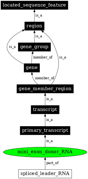 Graph image for SO:0000635