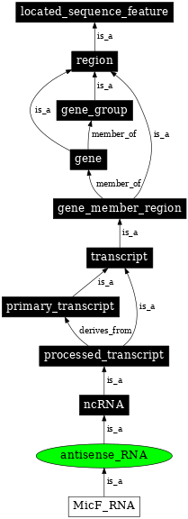 Graph image for SO:0000644