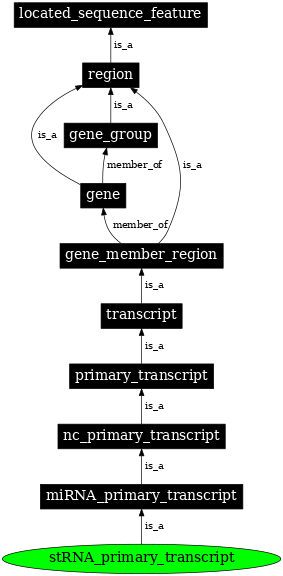 Graph image for SO:0000648