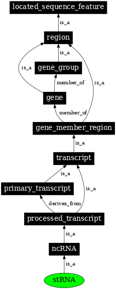 Graph image for SO:0000649