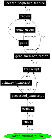 Graph image for SO:0000651