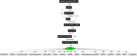 Graph image for SO:0000655