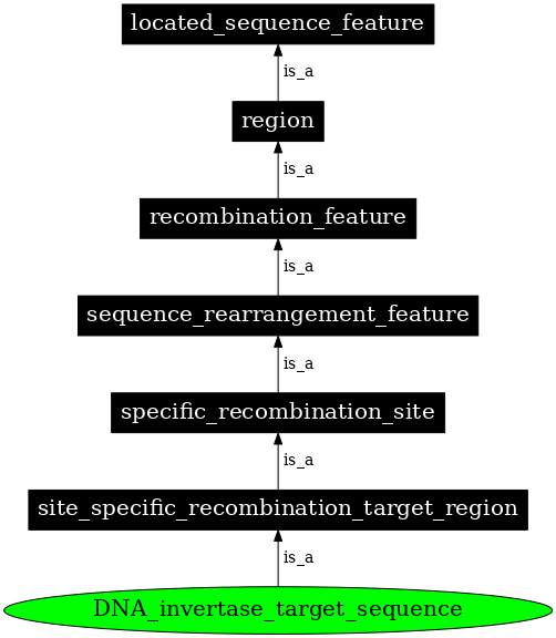 Graph image for SO:0000660