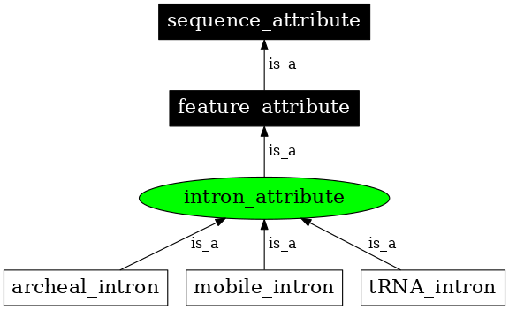 Graph image for SO:0000661