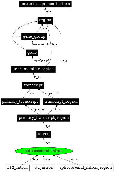 Graph image for SO:0000662