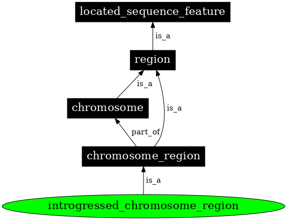 Graph image for SO:0000664