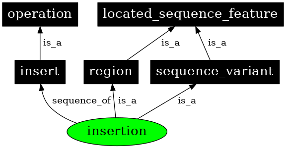 Graph image for SO:0000667