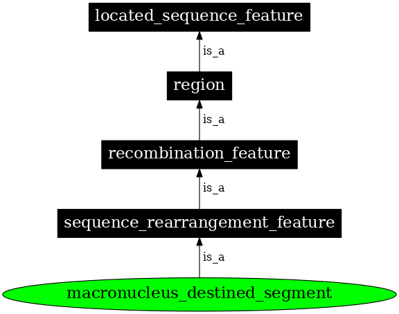 Graph image for SO:0000672