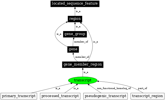 Graph image for SO:0000673