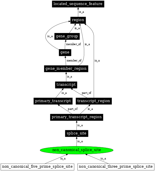 Graph image for SO:0000674