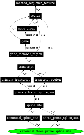 Graph image for SO:0000676