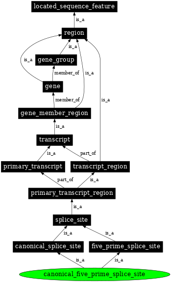Graph image for SO:0000677
