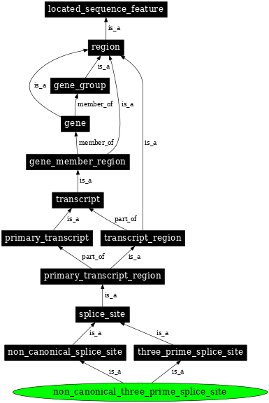 Graph image for SO:0000678
