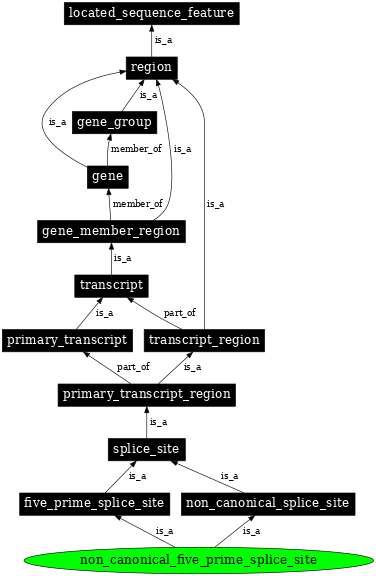 Graph image for SO:0000679