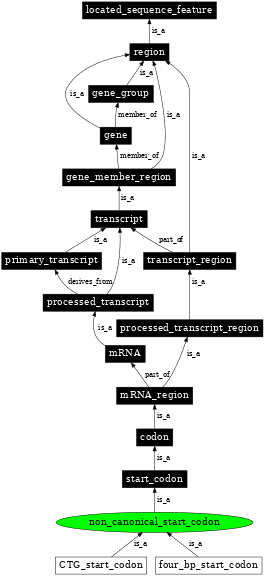 Graph image for SO:0000680