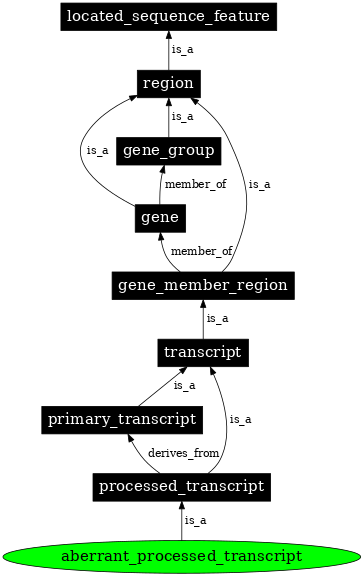 Graph image for SO:0000681