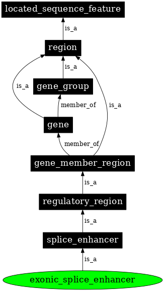 Graph image for SO:0000683