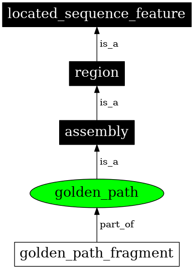 Graph image for SO:0000688