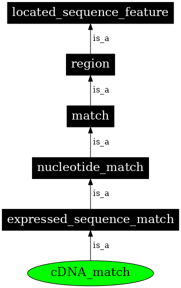 Graph image for SO:0000689
