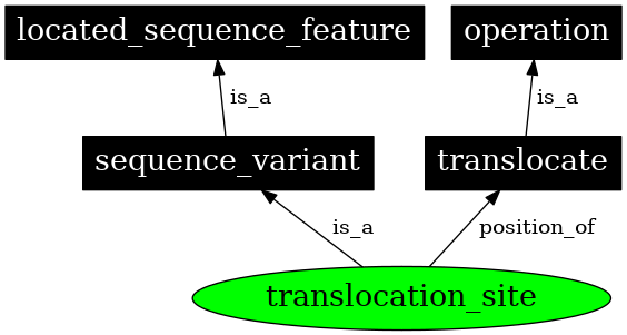 Graph image for SO:0000691