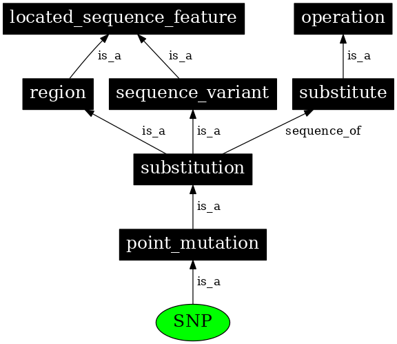 Graph image for SO:0000694