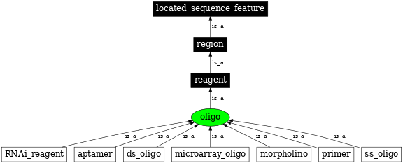 Graph image for SO:0000696