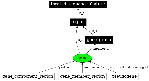 Graph image for SO:0000704