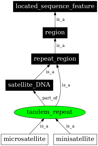 Graph image for SO:0000705