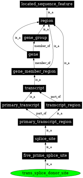 Graph image for SO:0000707