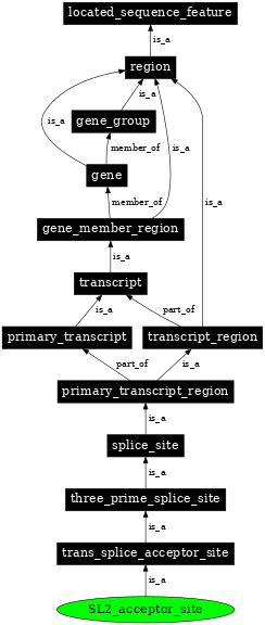 Graph image for SO:0000709