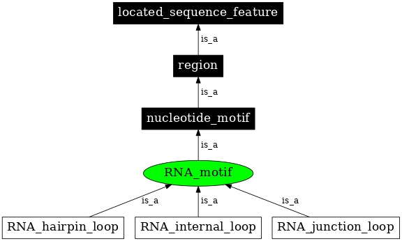 Graph image for SO:0000715