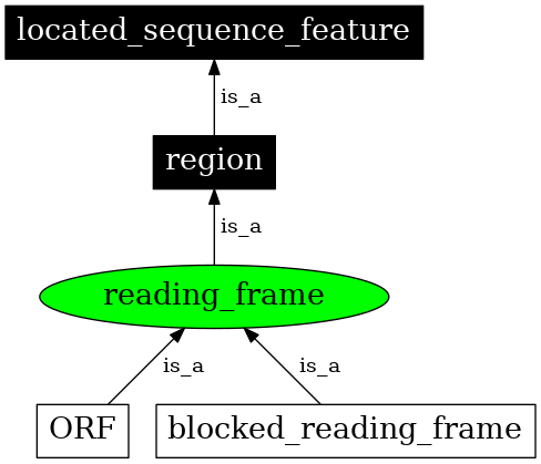 Graph image for SO:0000717