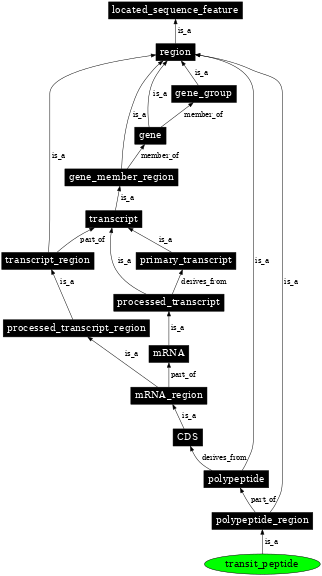 Graph image for SO:0000725
