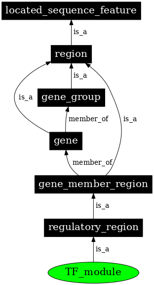 Graph image for SO:0000727