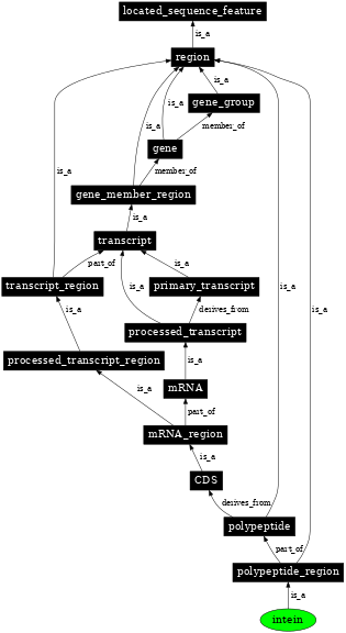 Graph image for SO:0000728
