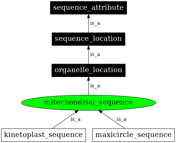 Graph image for SO:0000737